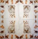 144 Cats - 3-ply - Home Fashion